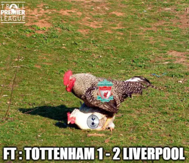 早报：拥有地表最强人类的从容感……怎么，你们没有吗？